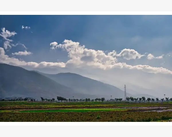 脾胃恢复期会出现白苔吗？一文解答你的疑惑